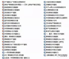 營銷策劃 聚焦顧客價值，驅動持續增長